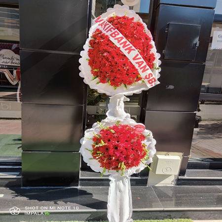 Çelenk Çiftli Canlı Gerbera